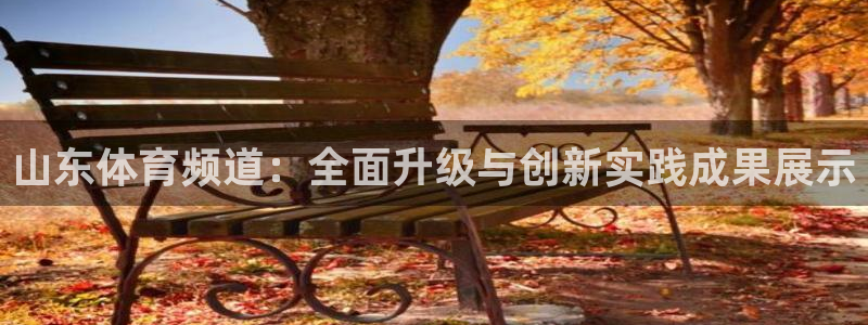 88看球网免费nba直播吧：山东体育频道：全面升级与创新实践成果展示