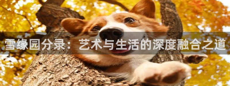 88看球nba足球直播：雪缘园分录：艺术与生活的深度融合之道