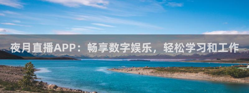 88看球直播平台：夜月直播APP：畅享数字娱乐，轻松学习和工作