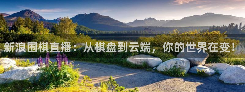 88看球直播足球比赛：新浪围棋直播：从棋盘到云端，你的世界在变！