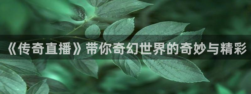 88看球直播入口：《传奇直播》带你奇幻世界的奇妙与精彩
