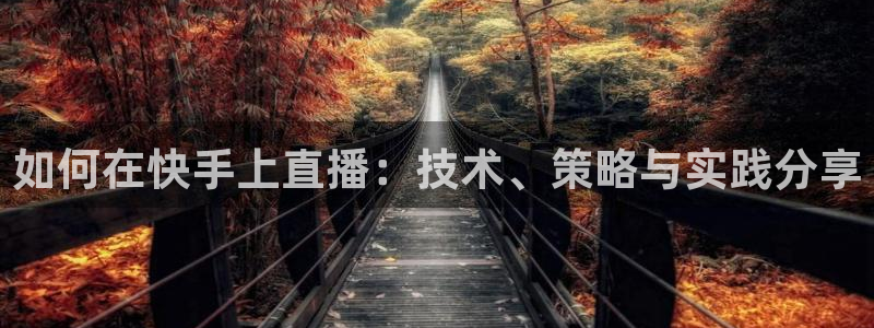 88看球体育直播：如何在快手上直播：技术、策略与实践分享
